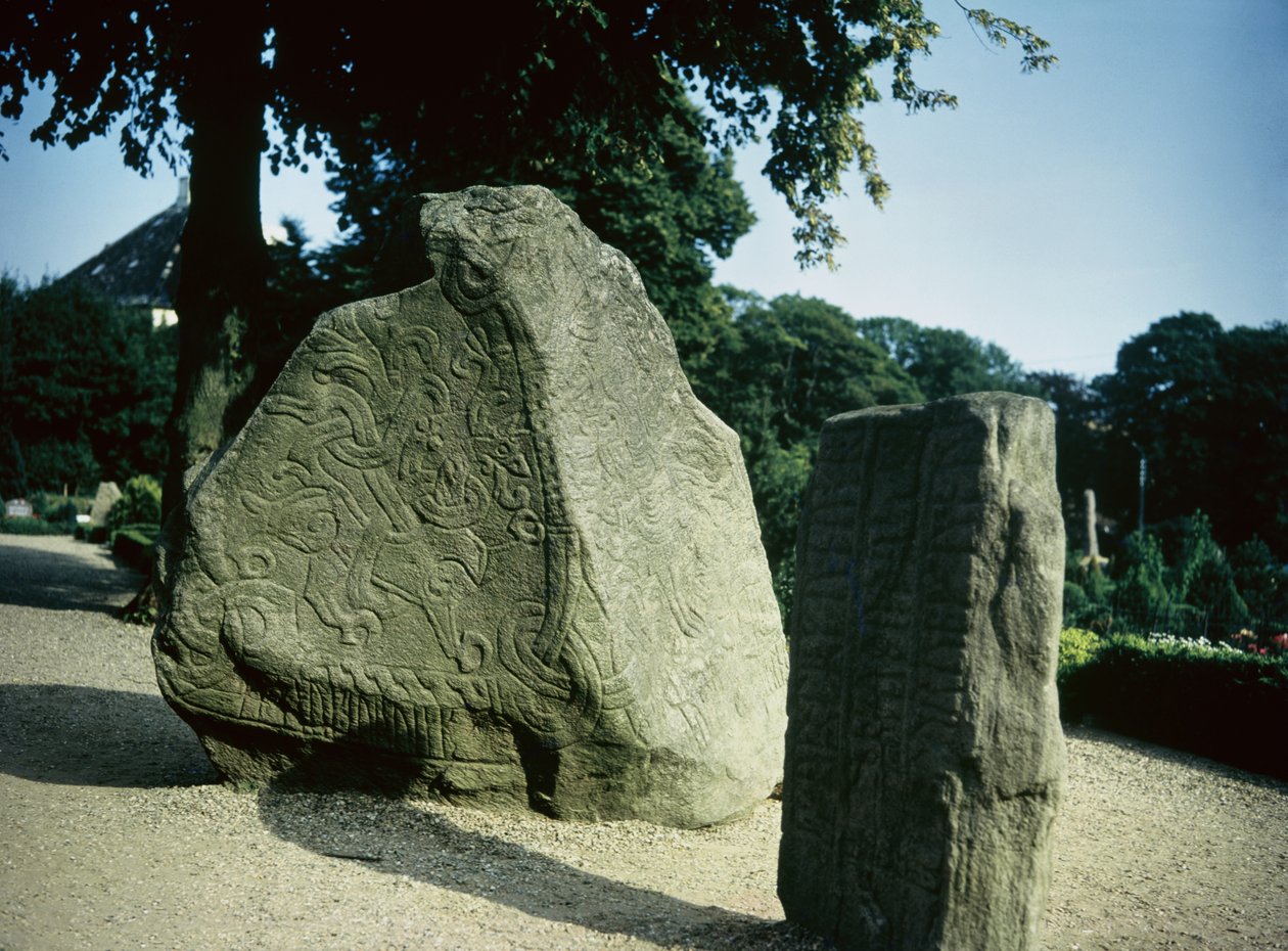 Vikinge runesten af Danish School