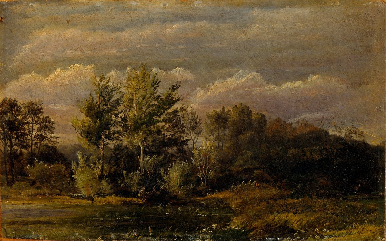 En skovsø omgivet af birke. Undersøgelse. af Dankvart Dreyer