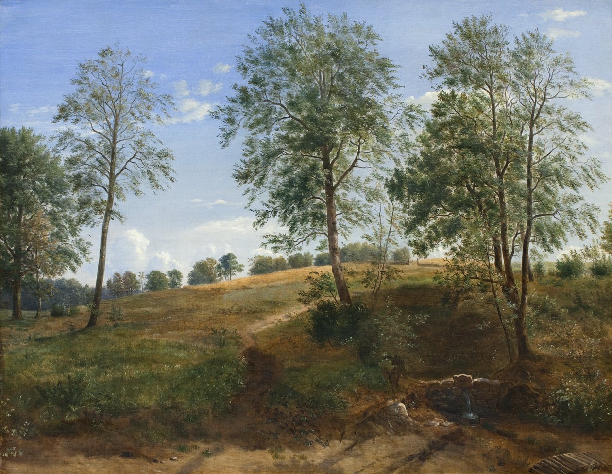 The Caroline Spring at Næsby on Funen af Dankvart Dreyer