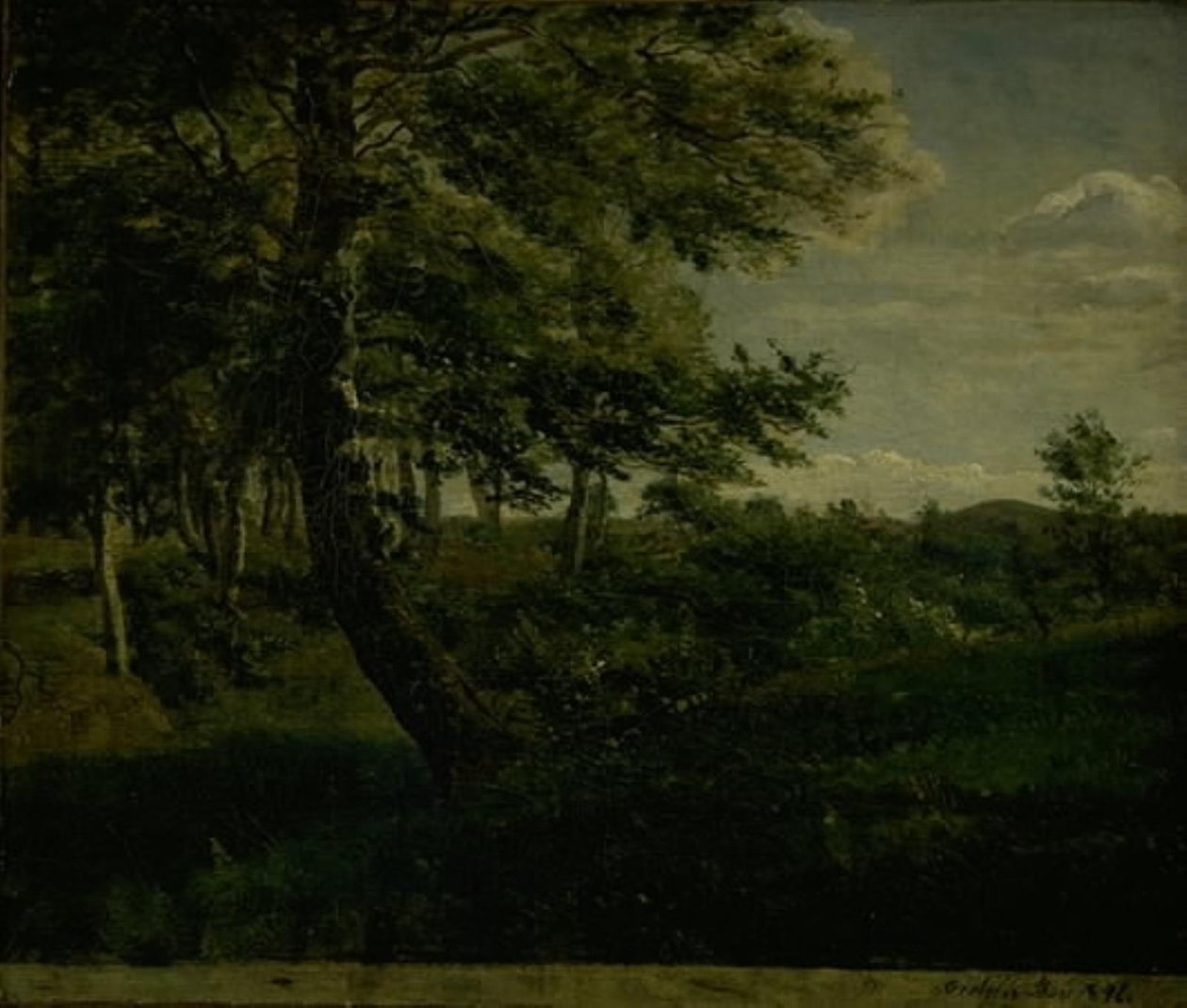 Ørsbjerg Forest at Aarup, Funen af Dankvart Dreyer
