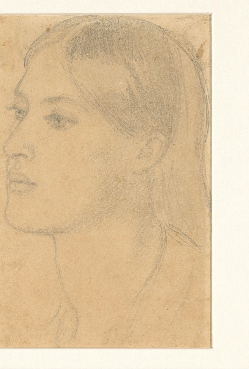 kvindes hoved af Dante Gabriel Rossetti (attributed to)