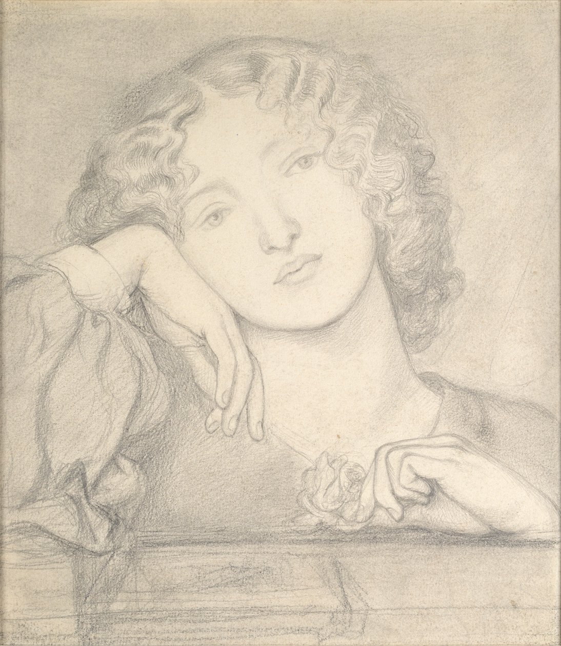 Man Rose, c1860