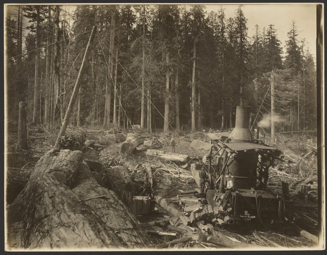 [Logging/ Timber Scene] af Darius Kinsey