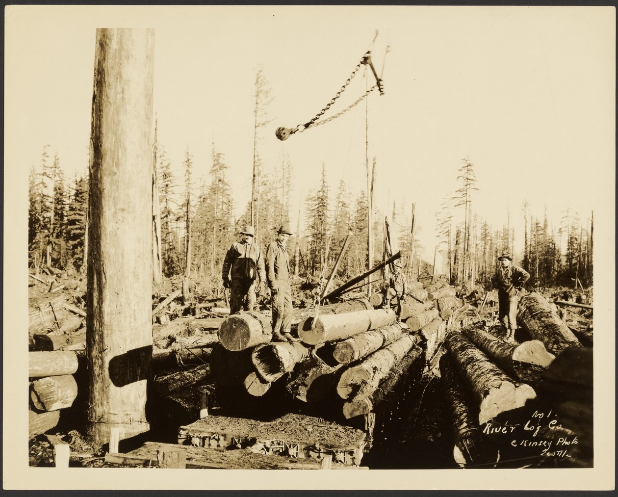 [Logging/ Timber Scene] af Darius Kinsey