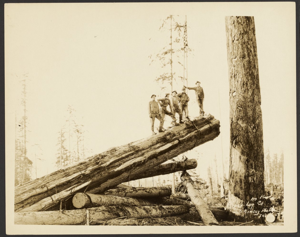 [Logging/ Timber Scene] af Darius Kinsey