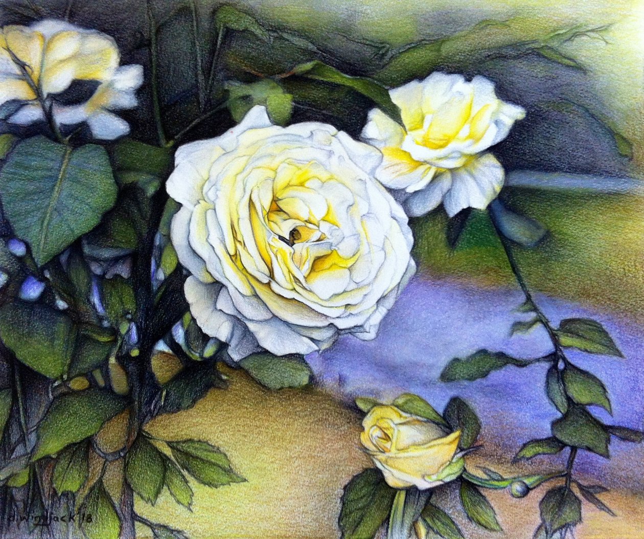 Alberta Roses In Bloom, 2018 (blyant på papir) af Darrell Windjack
