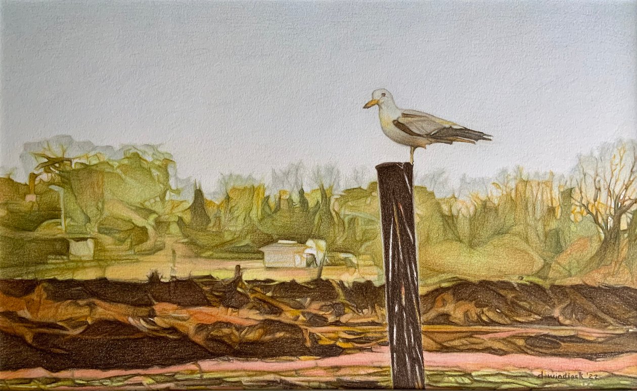 Lone Seagull, 2022 (blyant på papir) af Darrell Windjack