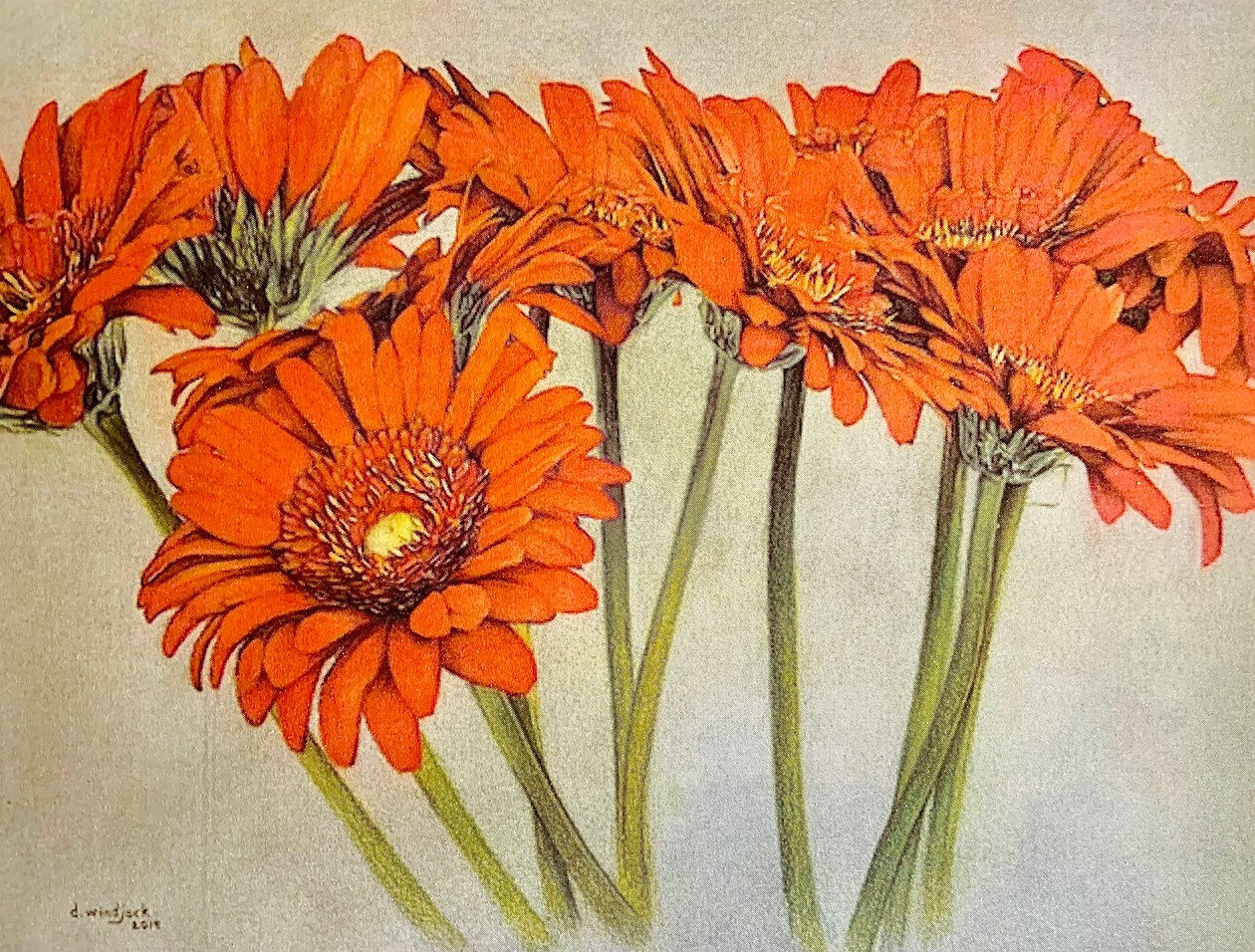 Orange Burst, 2019 (blyant, akryl på papir) af Darrell Windjack