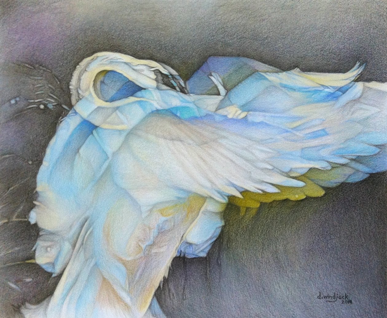 Taking Flight, 2019 (blyant på papir) af Darrell Windjack