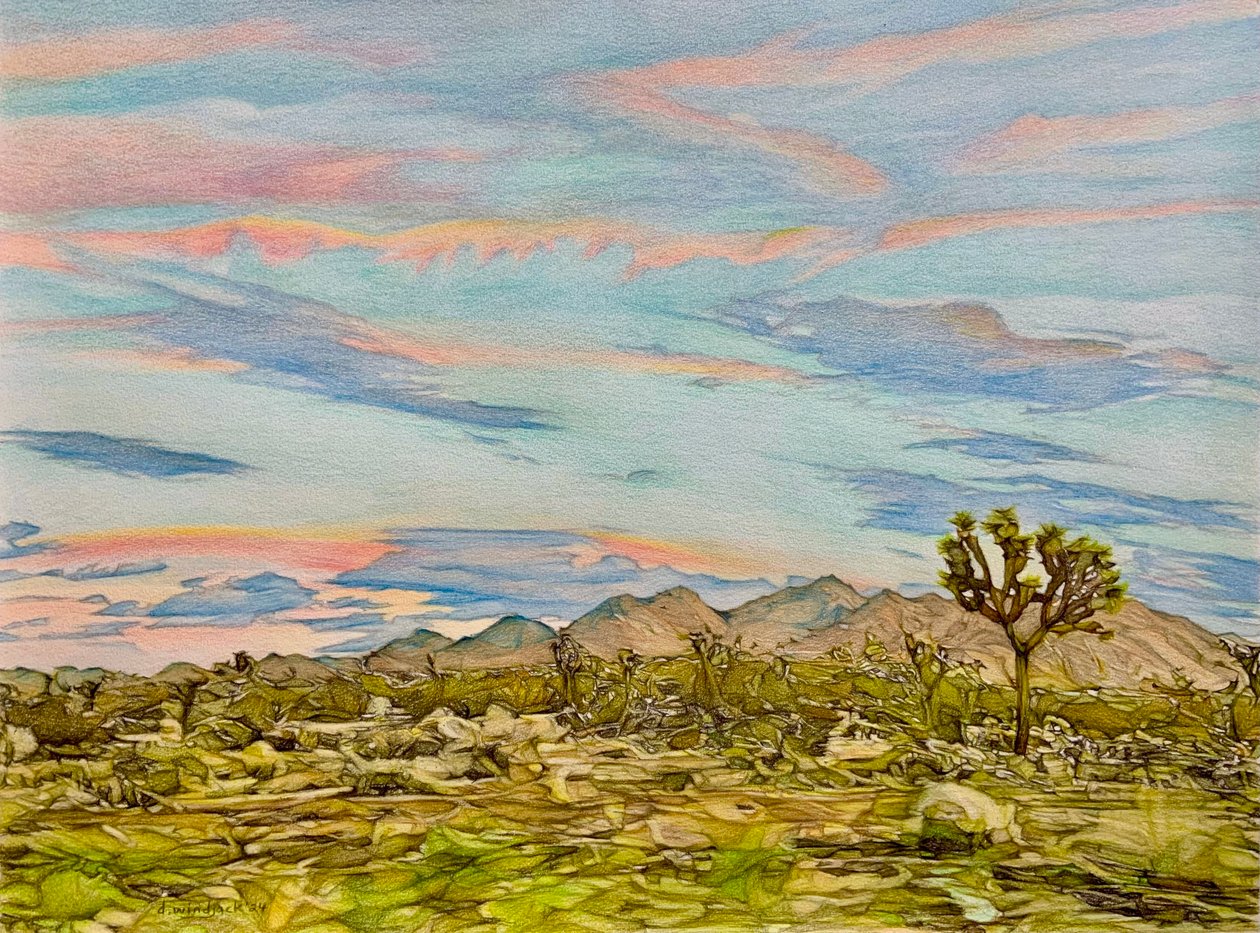 The Joshua Tree, 2023 (blyant på papir) af Darrell Windjack