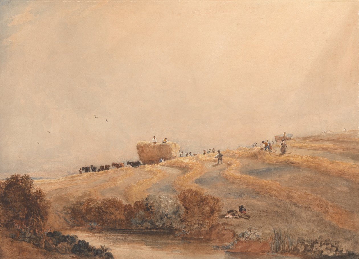 Høfremstilling af David Cox