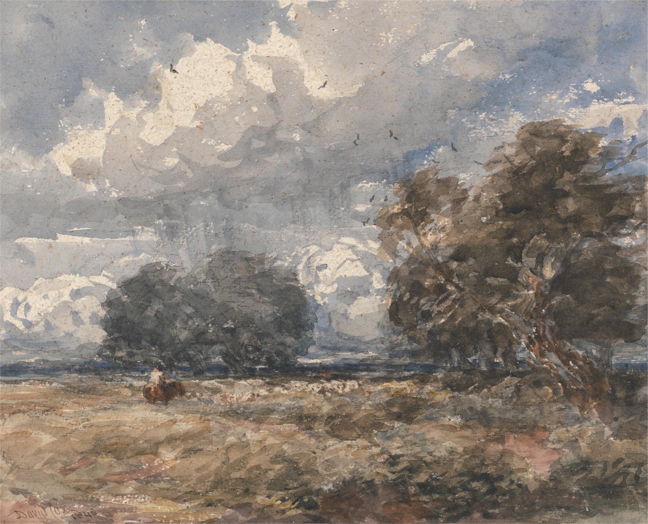 Hyrde flokken, blæsende dag af David Cox