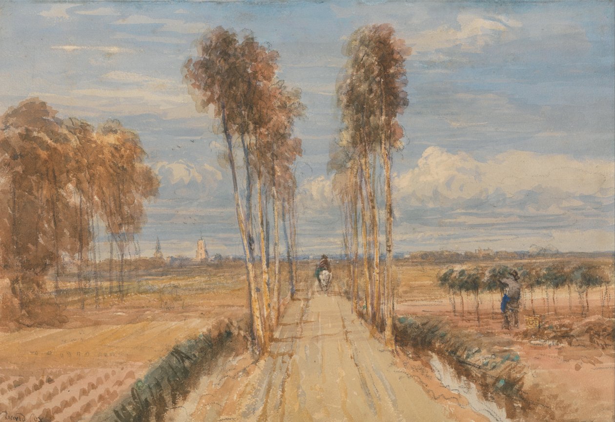 Poplar Avenue, efter Hobbema af David Cox