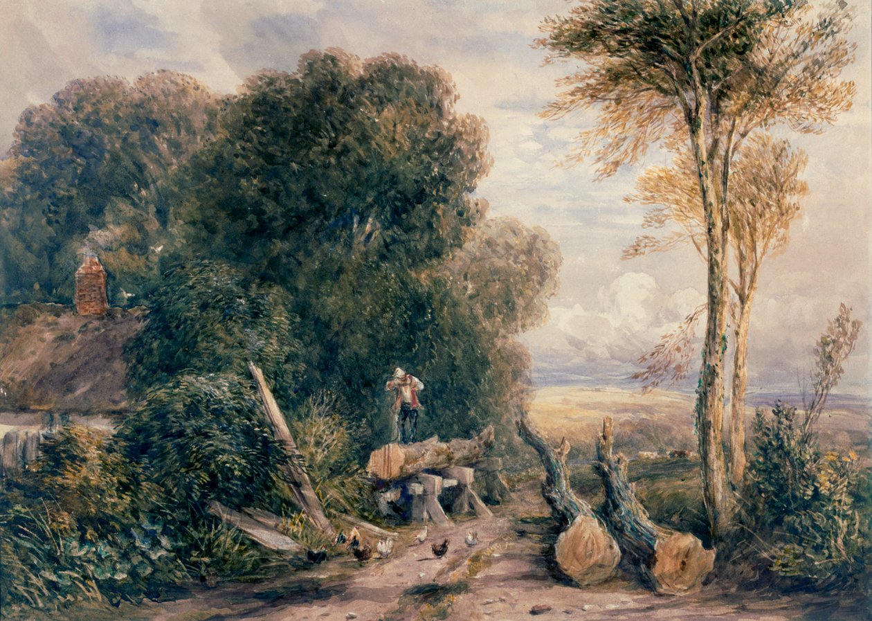 Savgraven af David Cox
