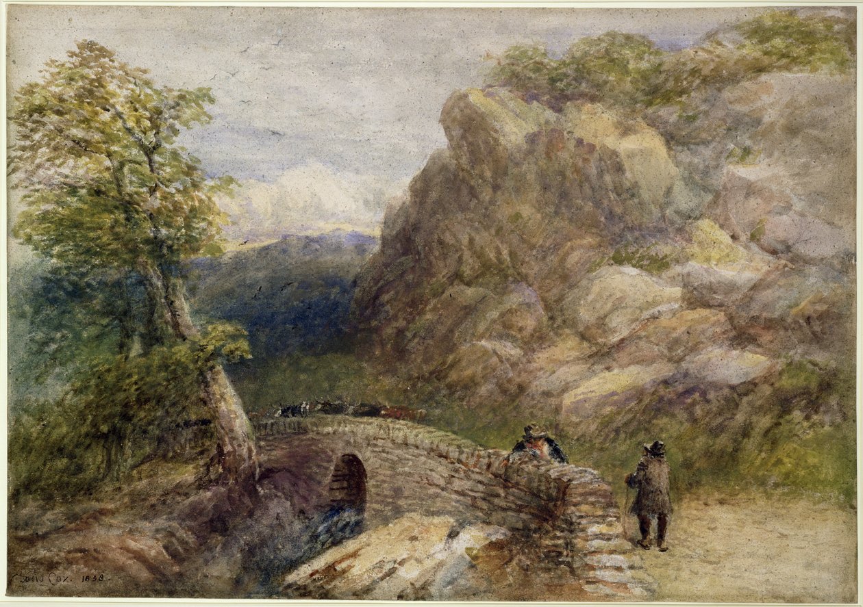 Udsigt i North Wales, 1858 af David Cox