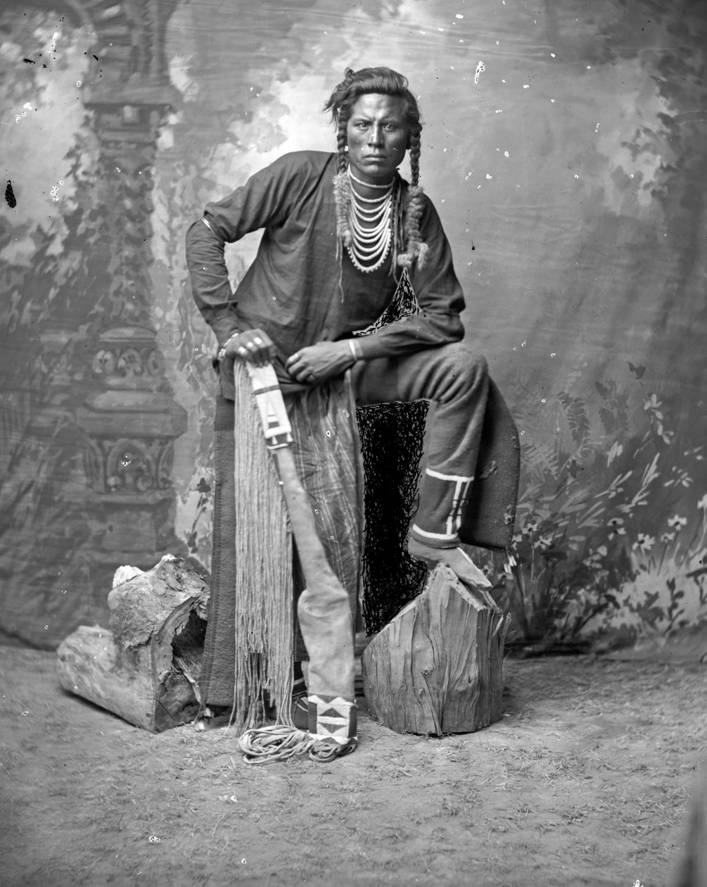 Curley, Kragespejder, 1880