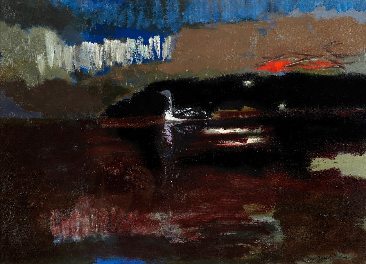 Black-throated Diver, ca. 1986 (olie på lærred) af David Alan Redpath Michie