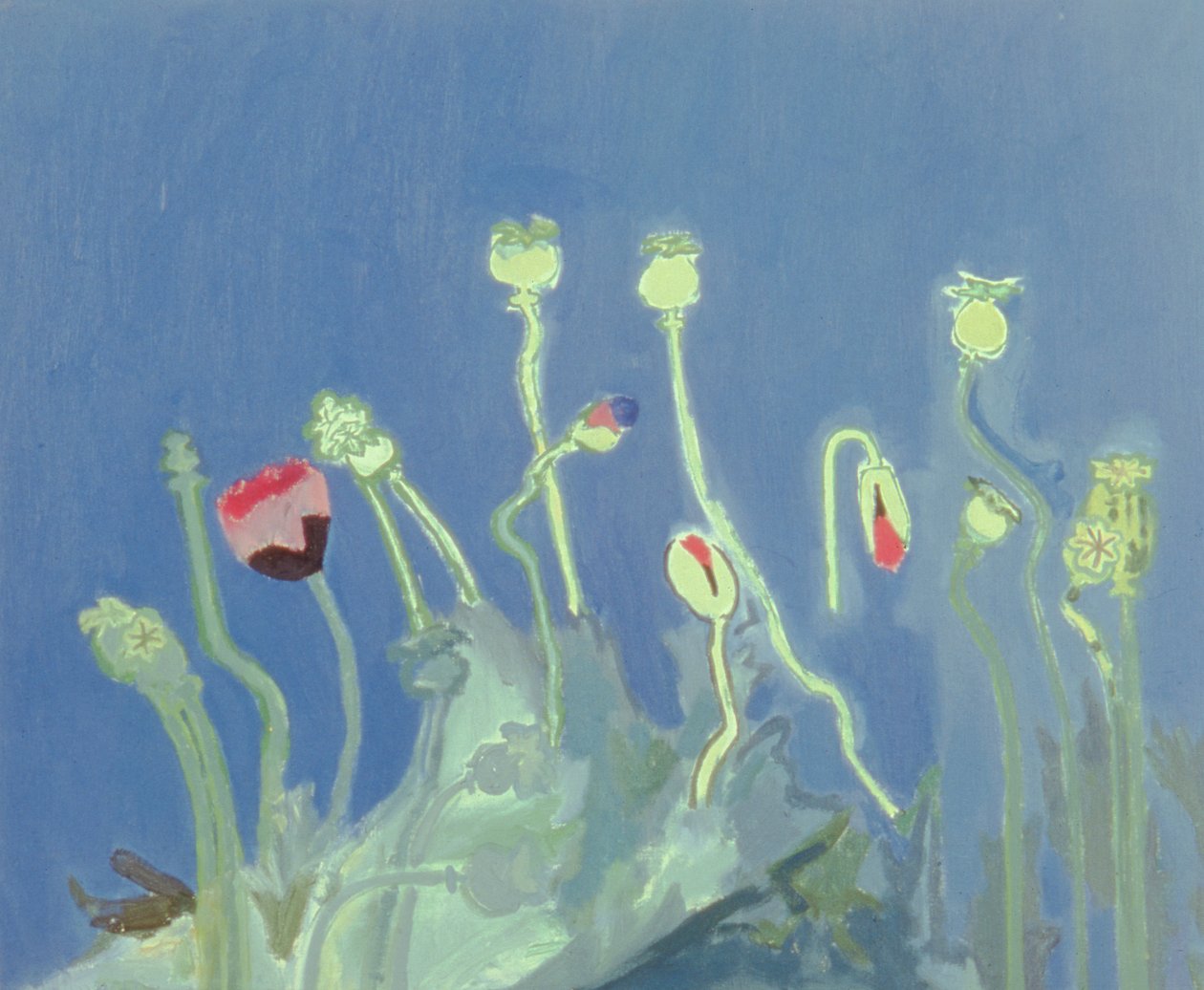 Poppyheads (olie på lærred) af David Alan Redpath Michie