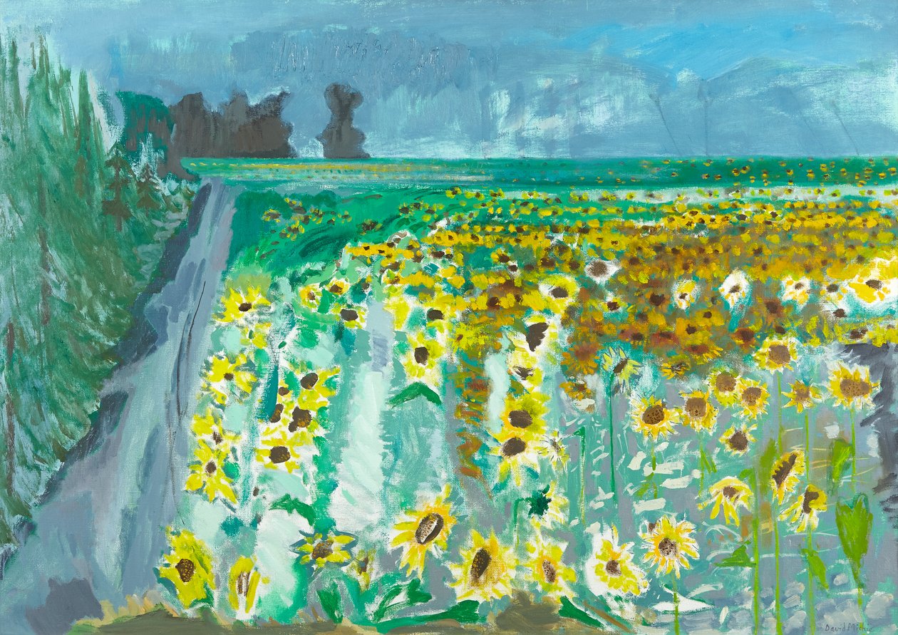 Sunflowers and Mistral, 2002 (olie på lærred) af David Alan Redpath Michie