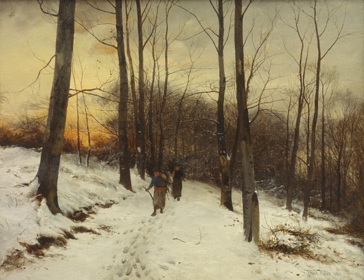 Malvern Woods (olie) af David Bates