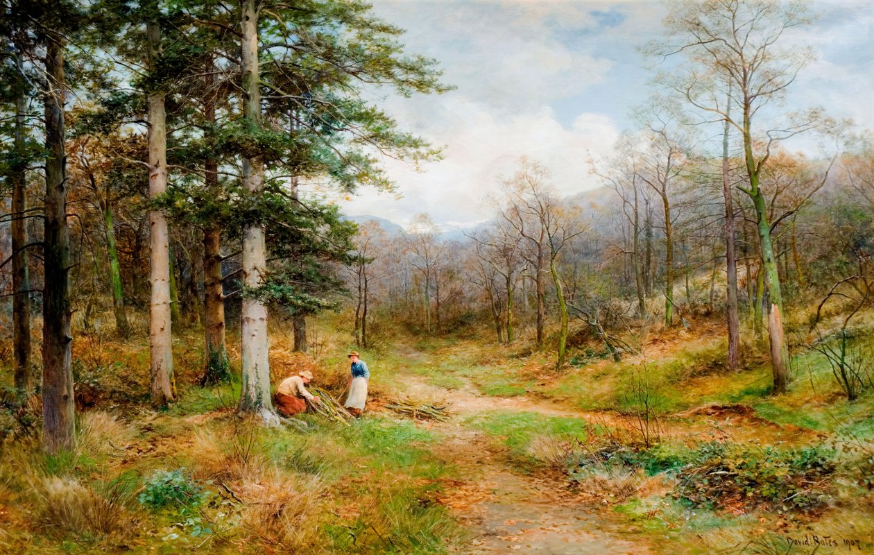On The Long Mynd, Church Stretton, 1907. af David Bates