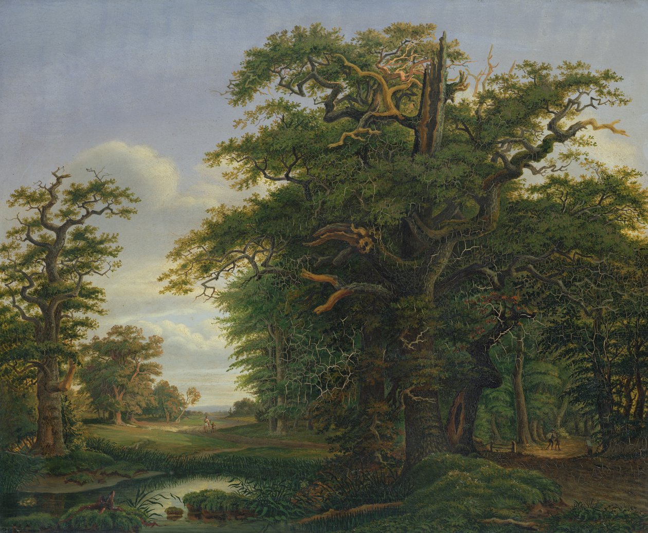 Egetræ, 1847 af David Christopher Mettlerkamp