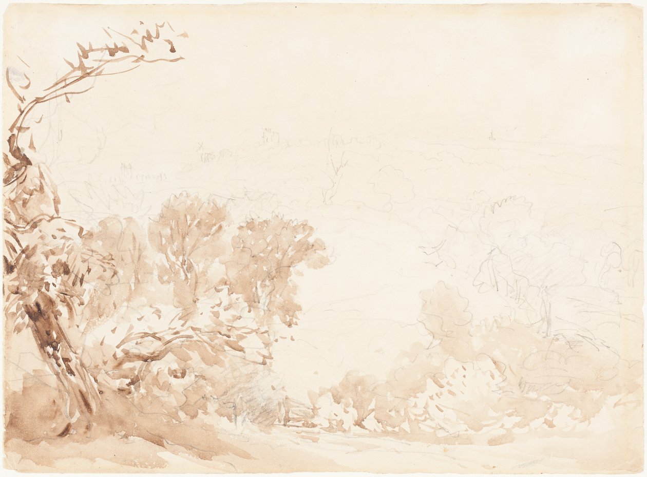 Bakkeskråning og træer af David Cox