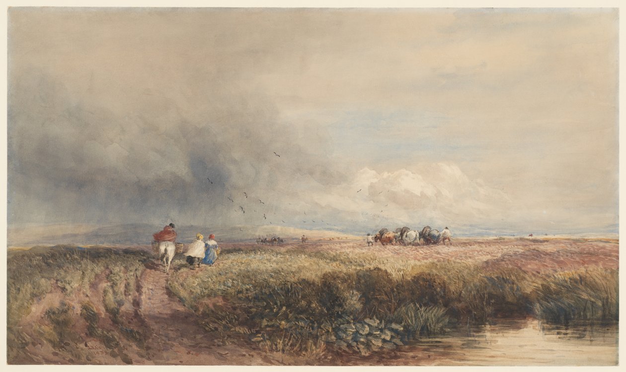 Rejsen hjem af David Cox
