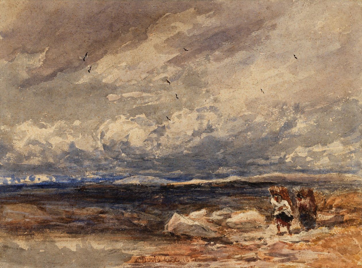 På Carrington Moss af David Cox