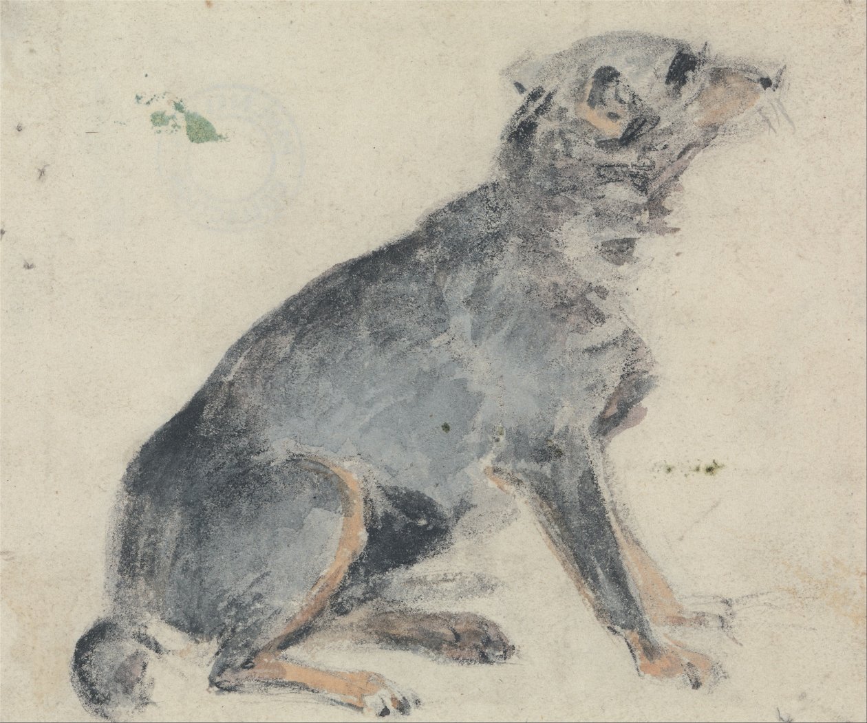 Studie af en hund af David Cox