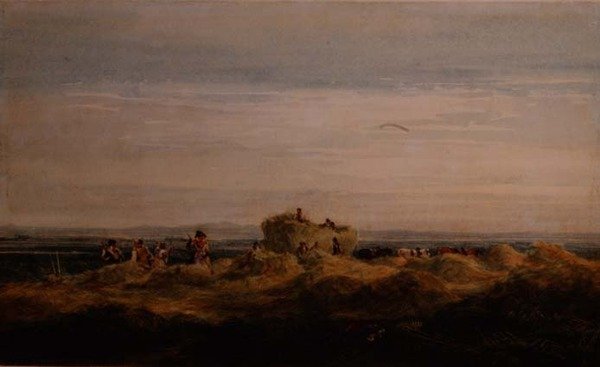 Hømarken af David Cox