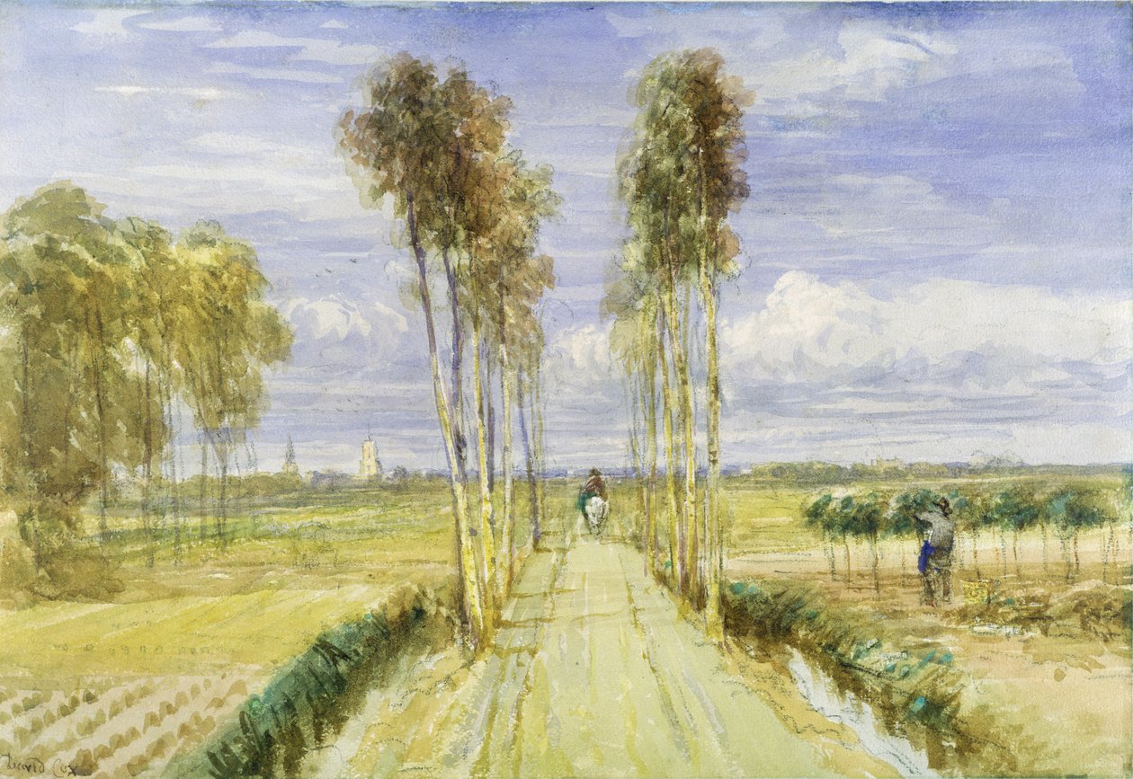 The Poplar Avenue (akvarel over blyant og sort kridt på papir) af David Cox
