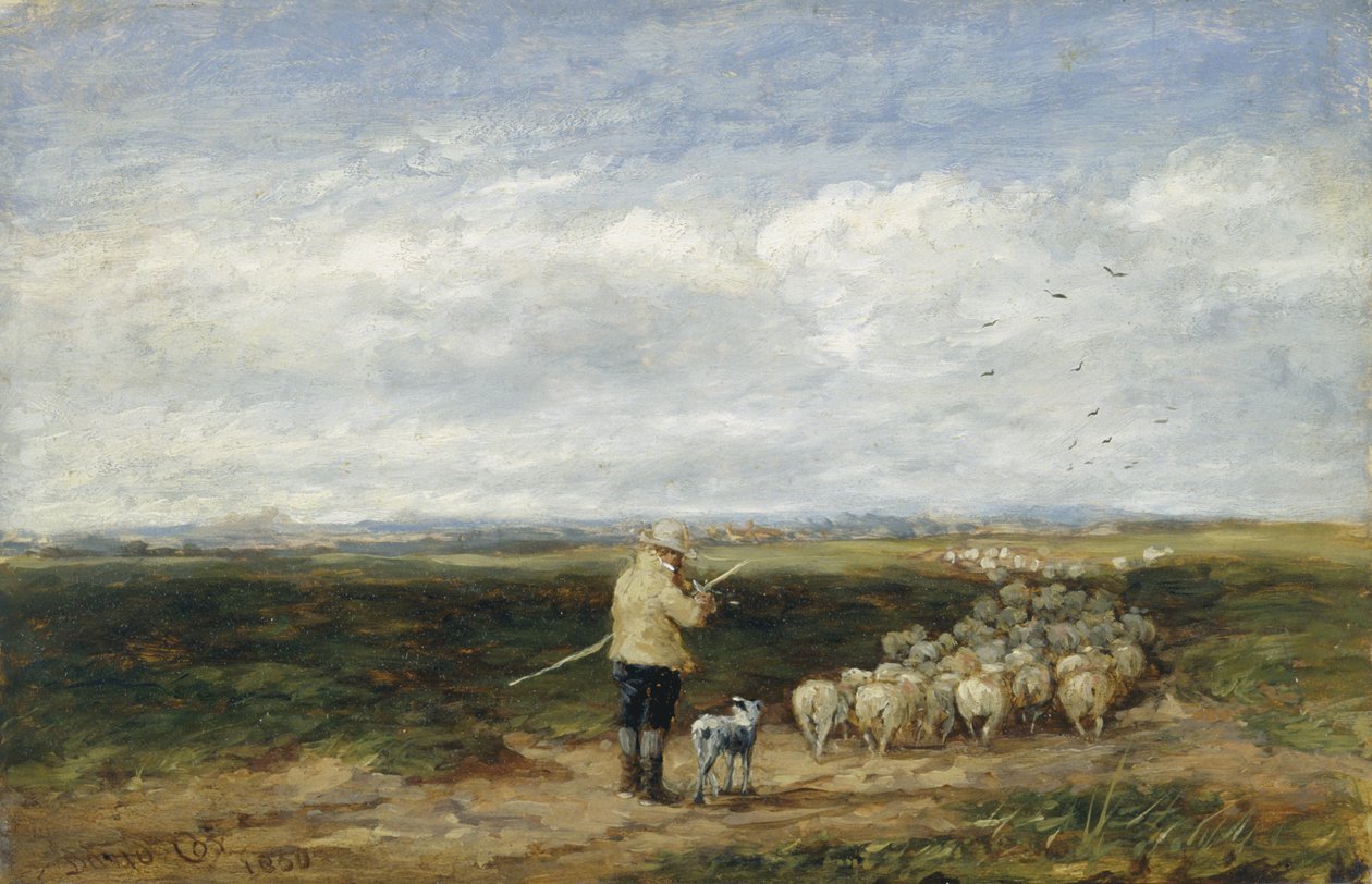 Hyrden, flokkens tilbagevenden af David Cox