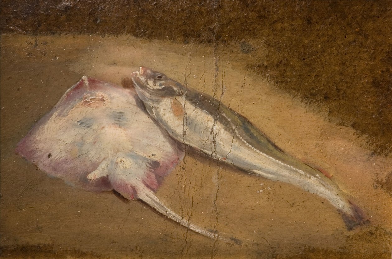 Undersøgelse af fisk - skøjter og torsk, 1842. af David Cox the elder