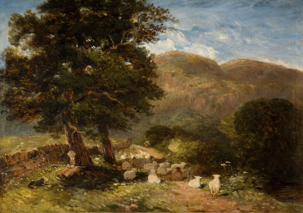 At passe får, Bettws-y-Coed, 1849. af David Cox the elder
