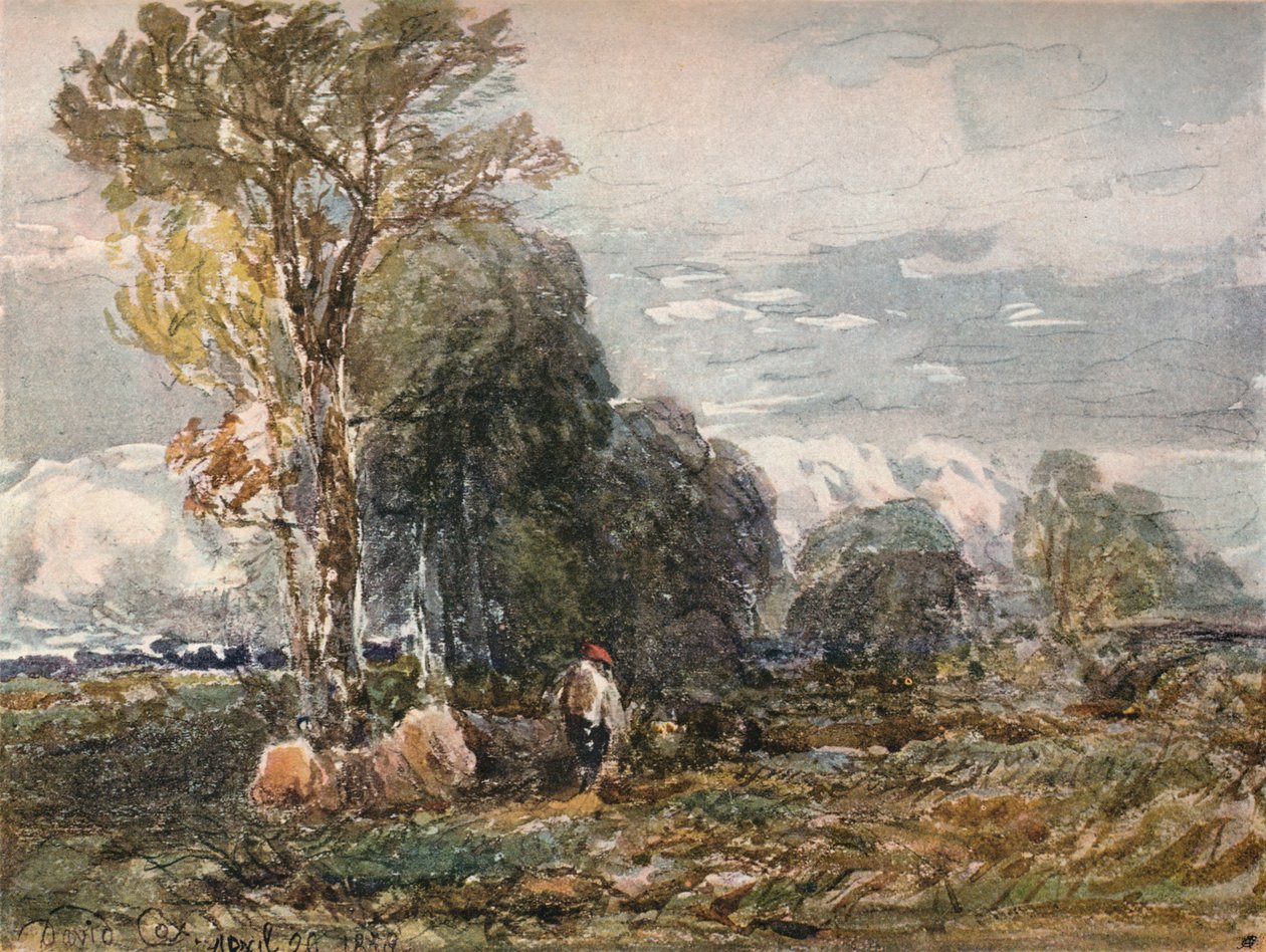 Skovhuggeren, 1858 af David Cox the elder
