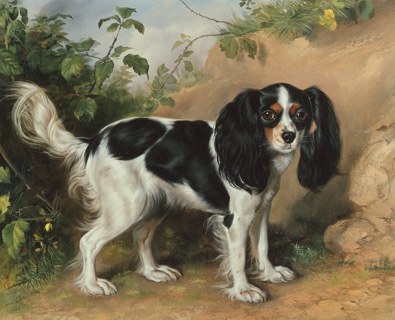 King Charles Spaniel af David Cunliffe