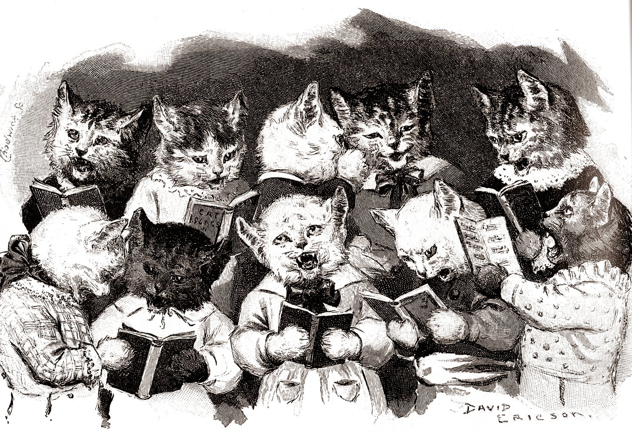 Syngende kattekor, begyndelsen af det 20. århundrede (illustration) af David Ericson