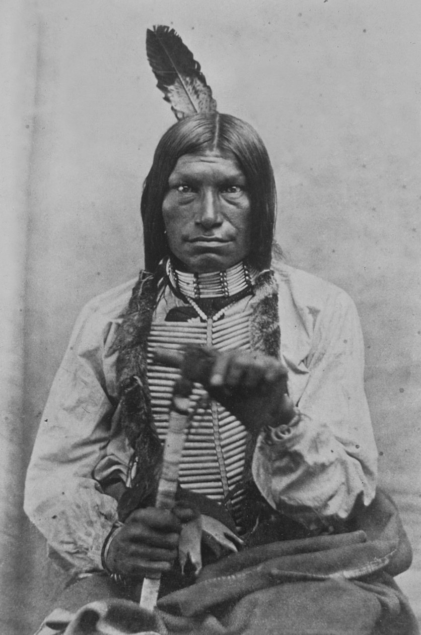 Low Dog War Chief (s/h foto) af David Frances Barry