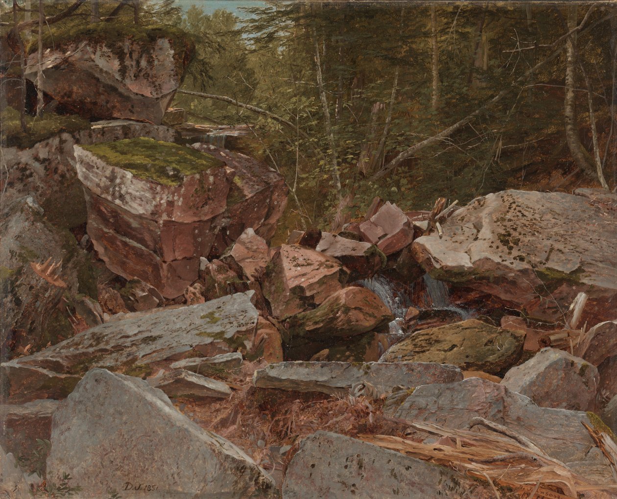 Studie, North Conway, New Hampshire, 1851 af David Johnson