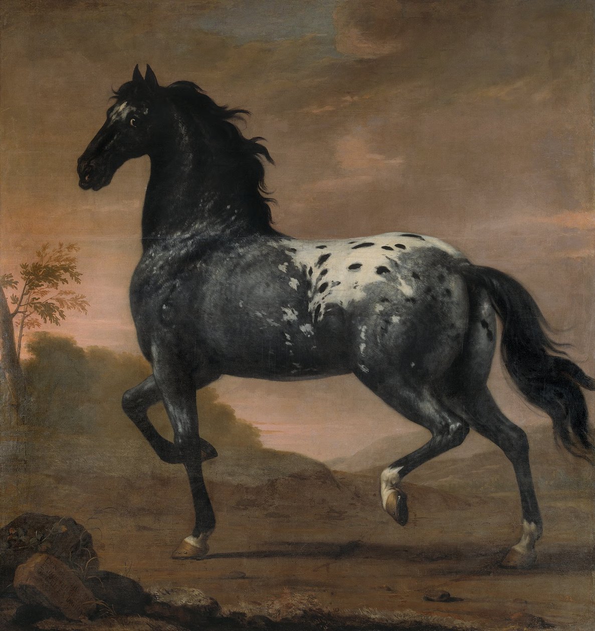 Karl XI’s hest »Den Blå Tiger«, 1673 af David Klöcker Ehrenstrahl