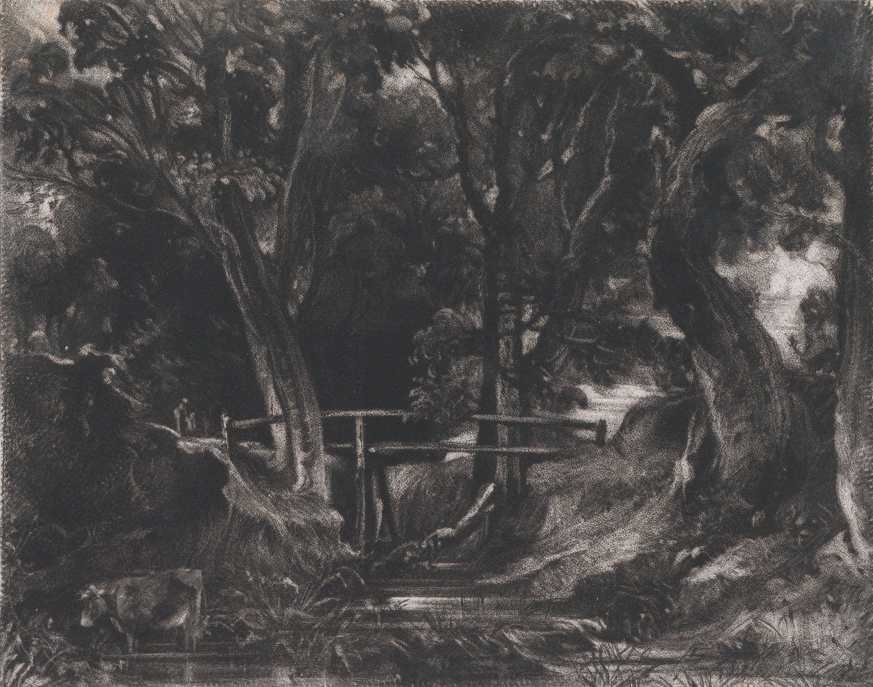 A Dell, Helmingham Park, Suffolk, 1830. af David Lucas