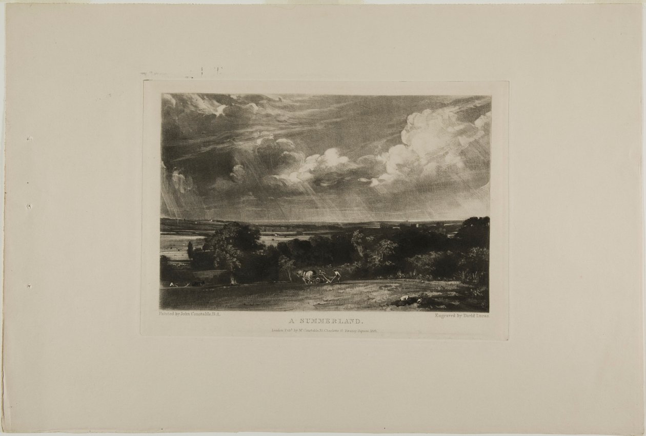Et sommerland af David Lucas