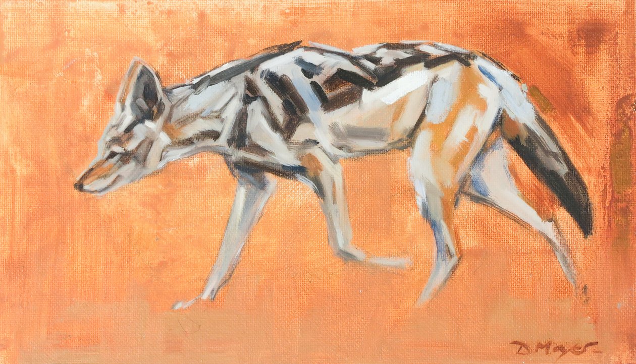 Black Backed Jackal, 2021 (olie på lærred) af David Mayer