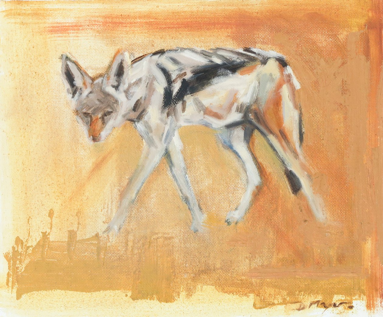 Black Backed Jackal, 2021 (olie på lærred) af David Mayer