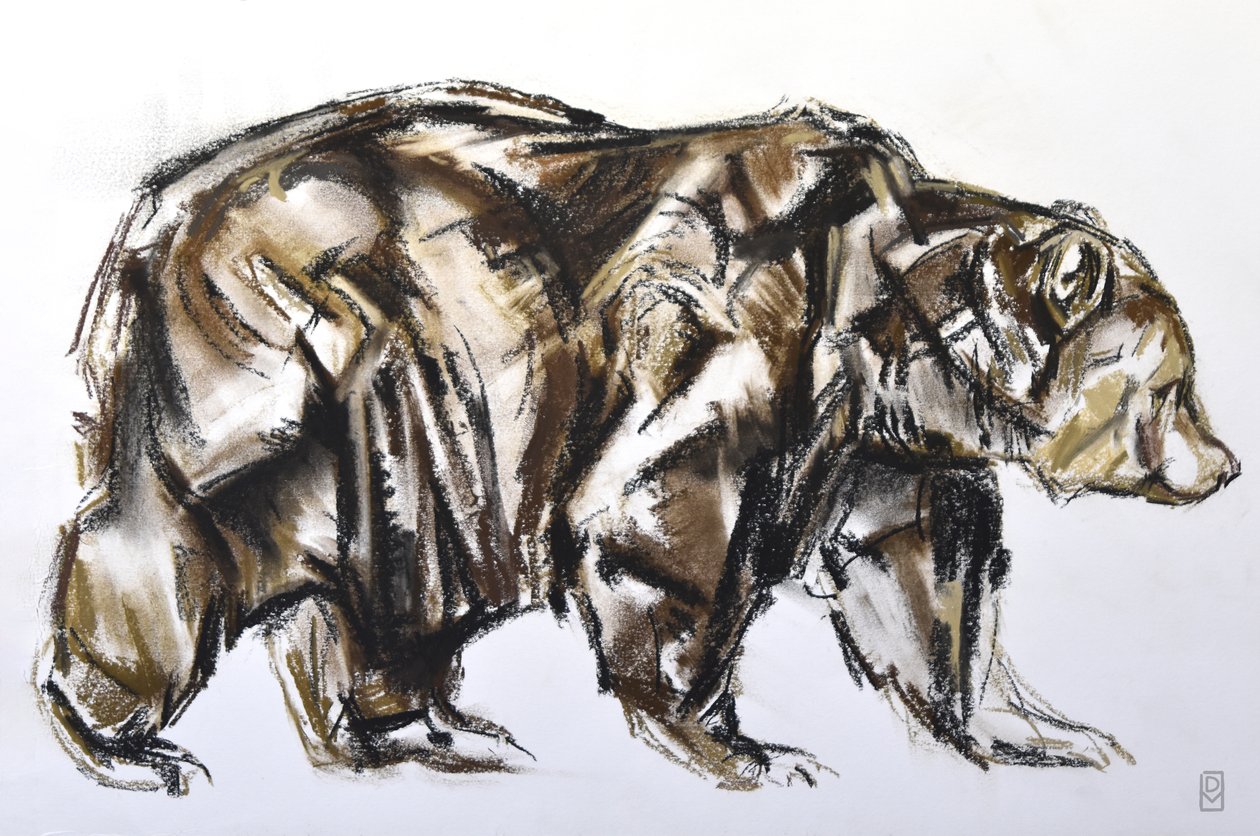 Brown Bear walking, 2012 (Pastel/Conte på papir) af David Mayer