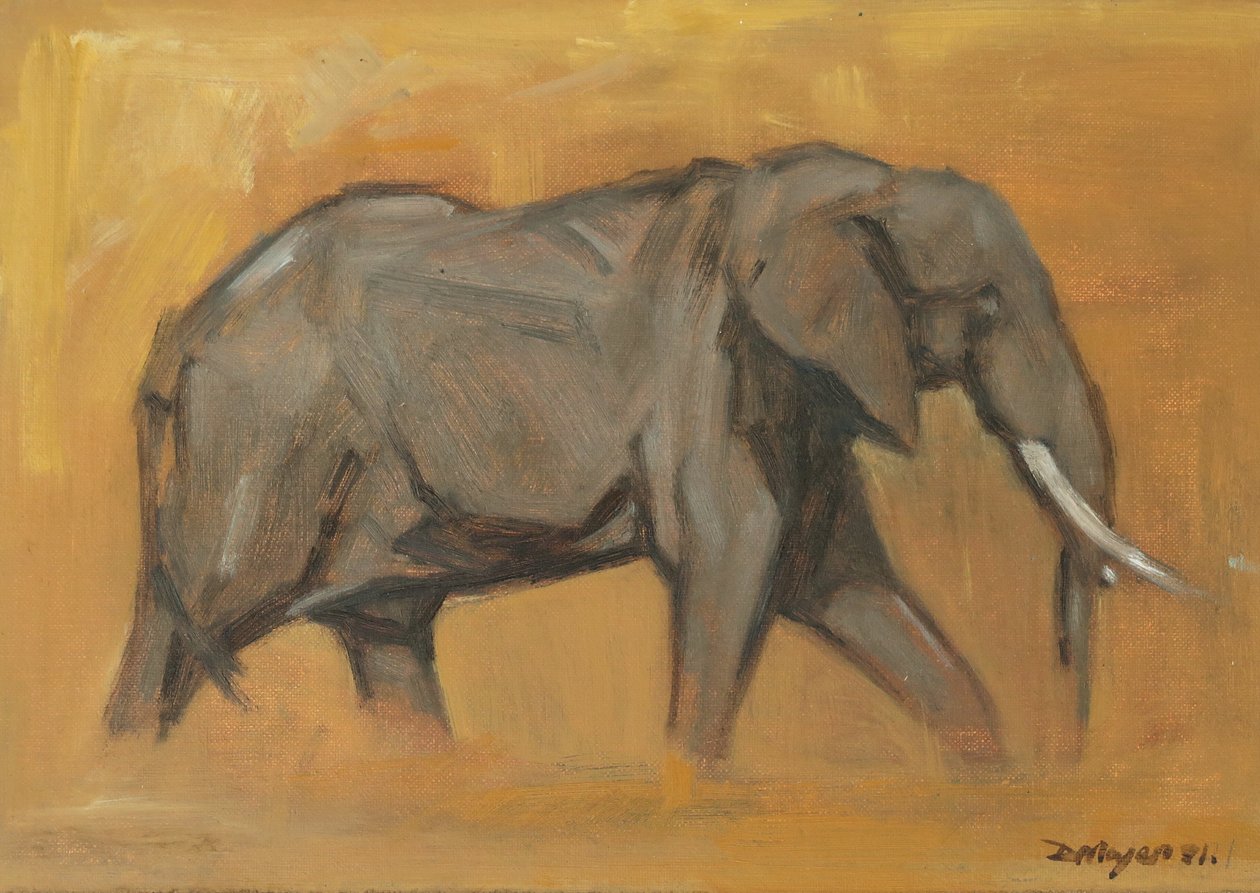 Bull Elephant, 2018 (olie på panel) af David Mayer