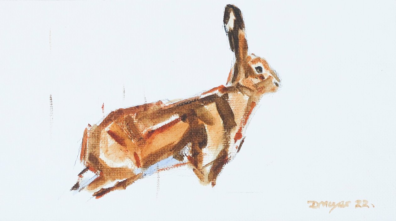 Hare, 2022 (olie på lærred) af David Mayer