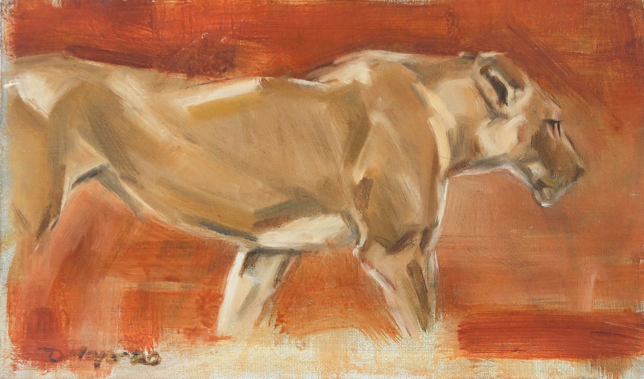 Lioness, 2019 (olie på lærred) af David Mayer