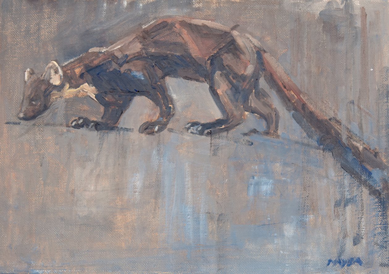 Pine Marten, 2023 (olie på lærred) af David Mayer